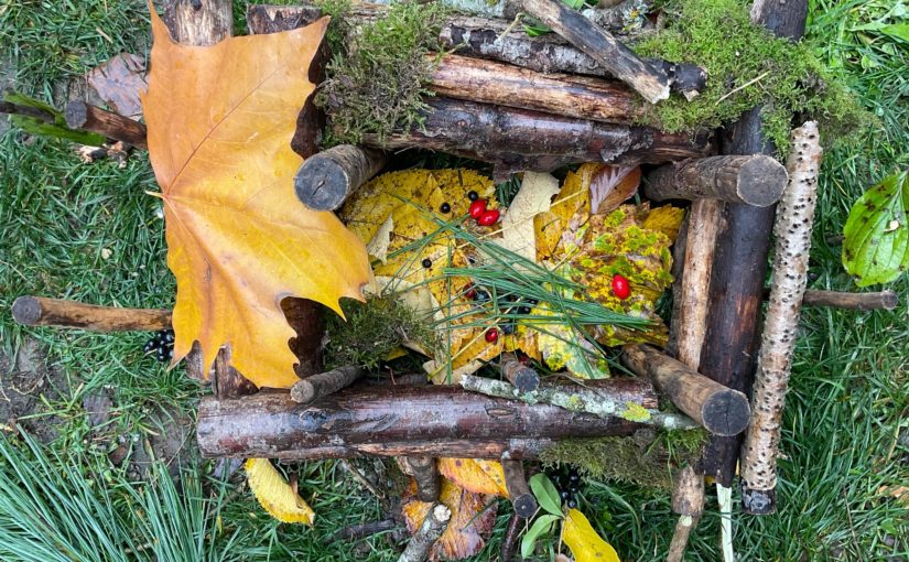 LandArt mit Klassenstufe 6